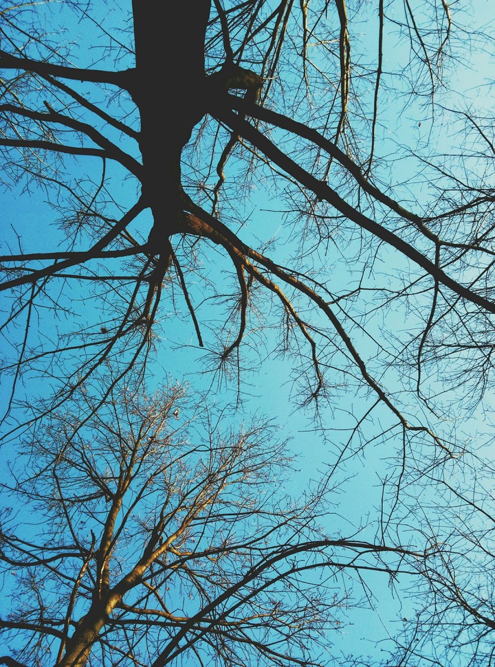Sunny Day