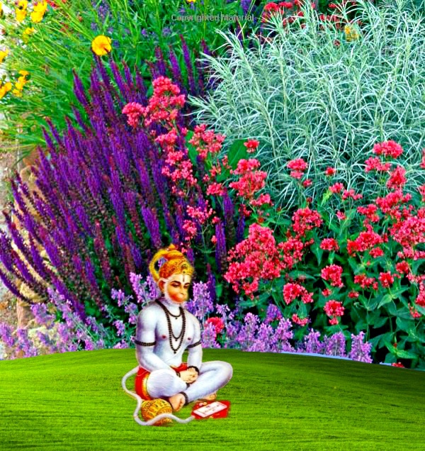 जय श्री हनुमान जी।