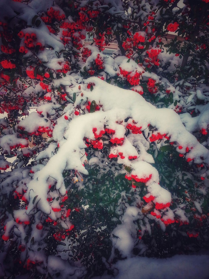 Snow