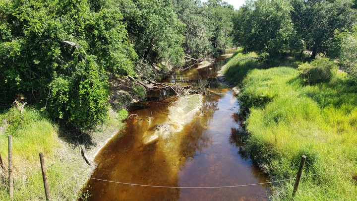 A Creek Runs Through It