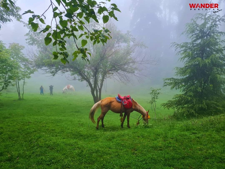 Neelam Valley, Azad Kashmir, Pakistan