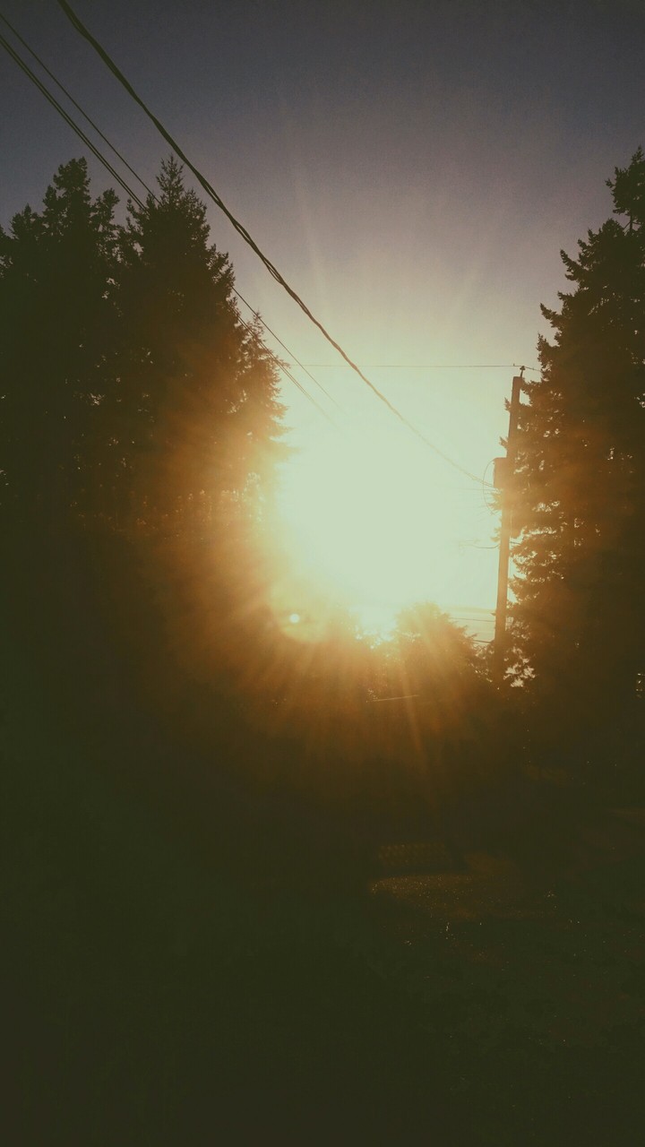 Sun