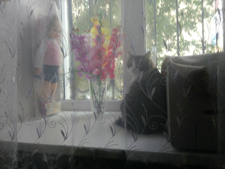 дуся