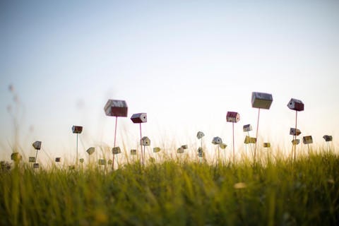 Nest village