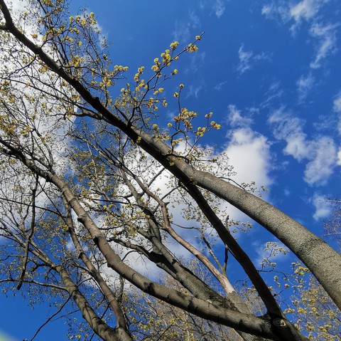 sky