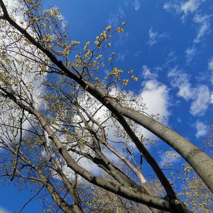 sky