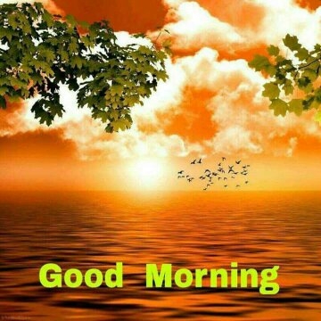 good morning