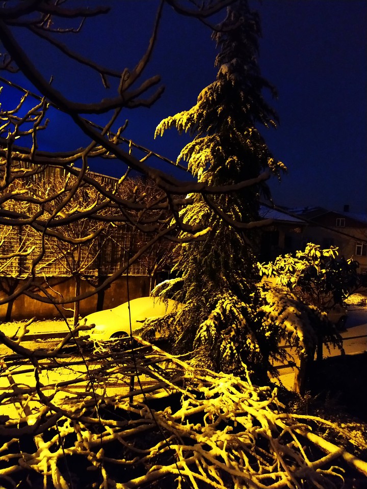 snow