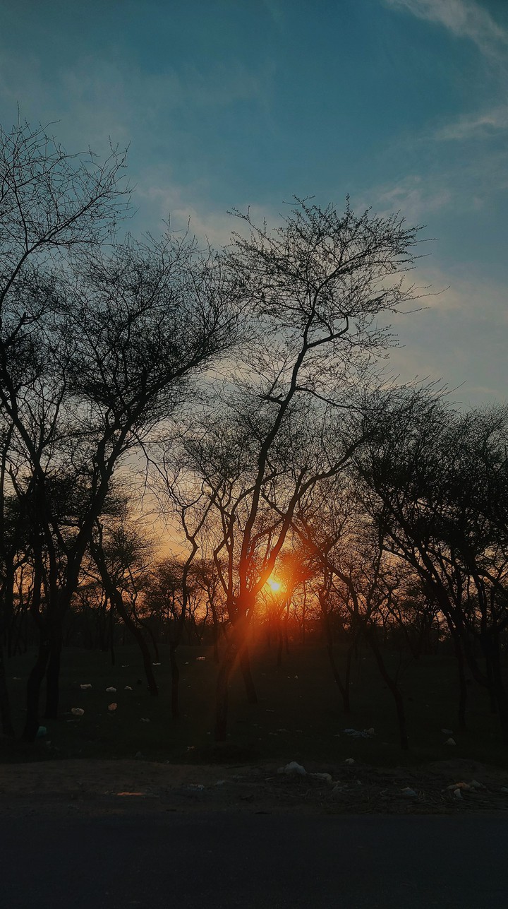 sunset
