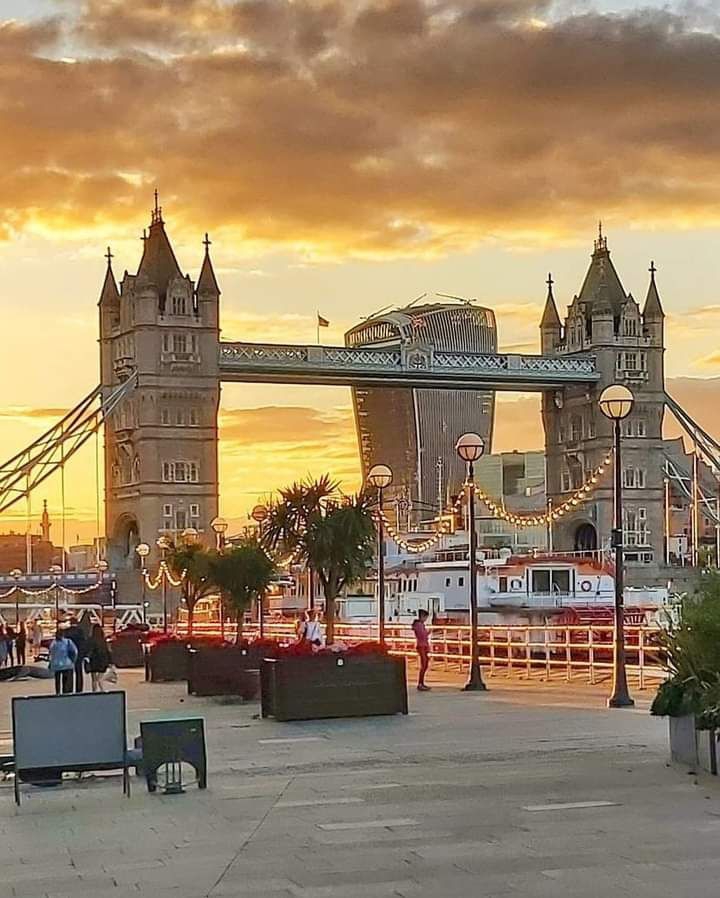 Citylife