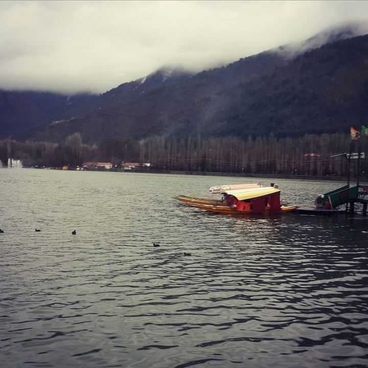 #Dal lake #Shikara #Beauty