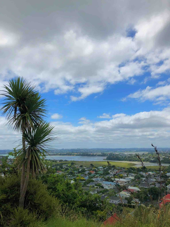 newzealand