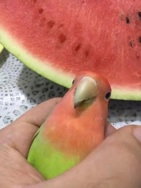 .