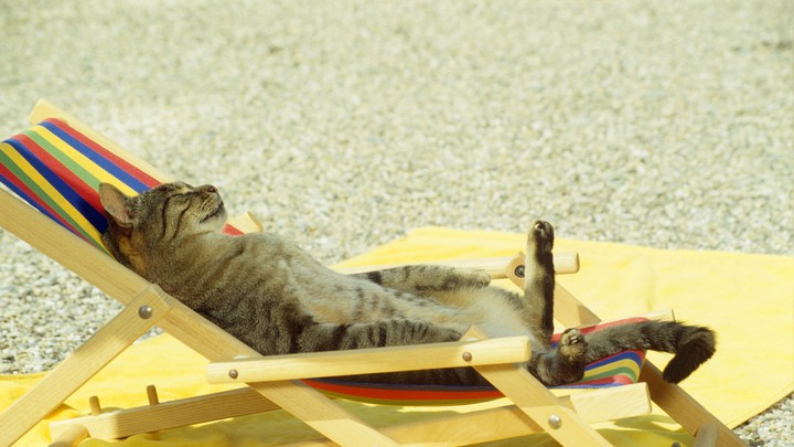 That's why people say Sun is the ultimate source of energy