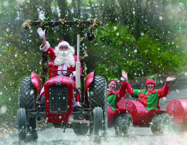 Santa Claus Happy New Year!!!