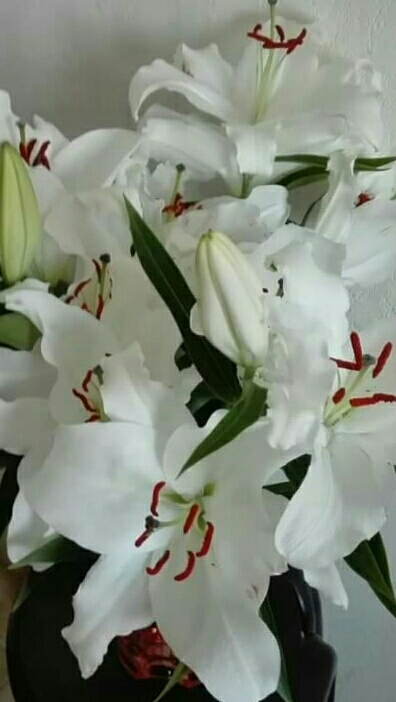 Mes lys blancs !!!!