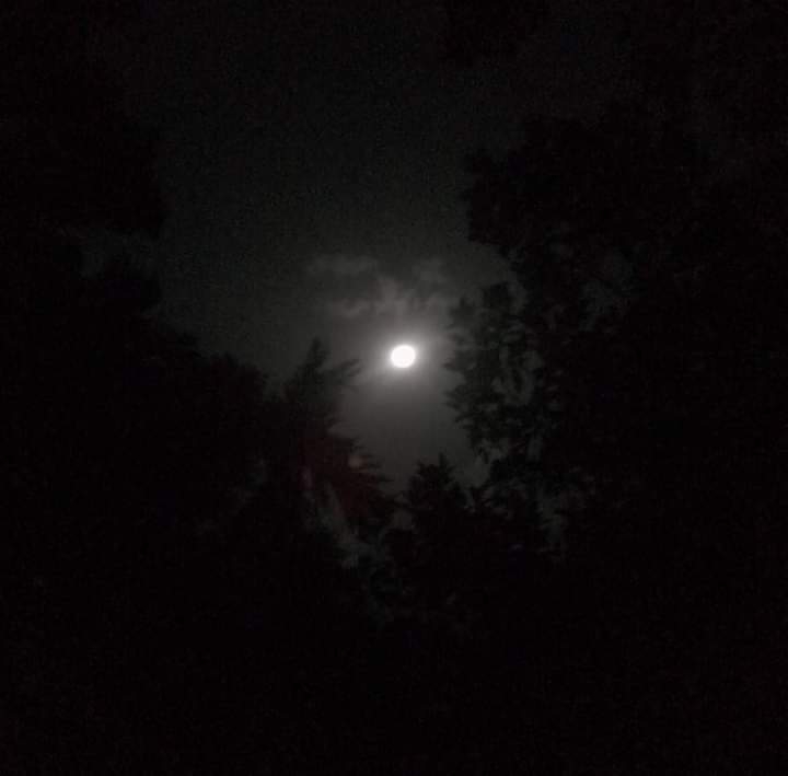 Mon from my home