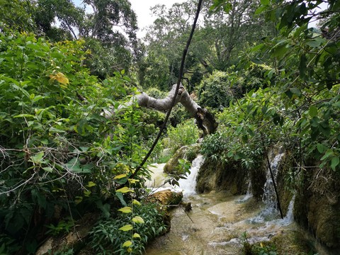 belleza México