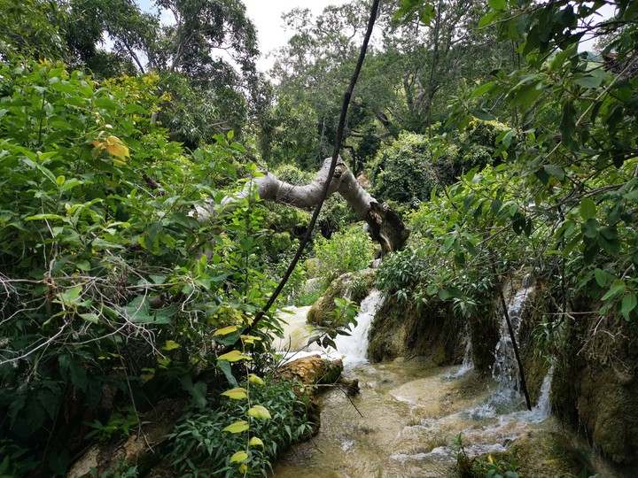 belleza México