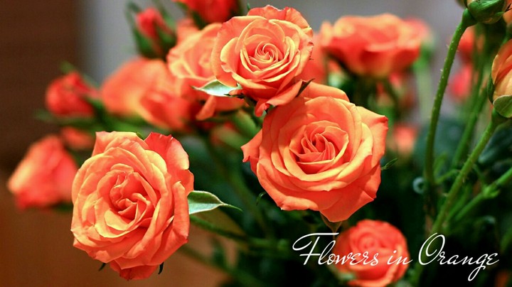 Flowers in orange.
