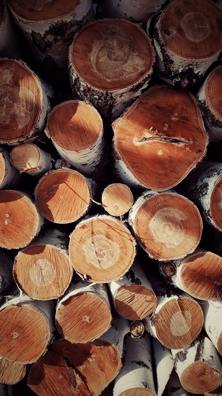 Firewood