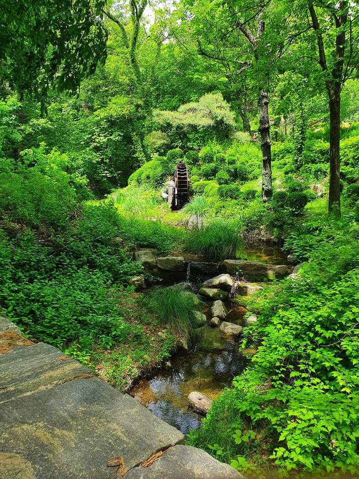 butiful nature