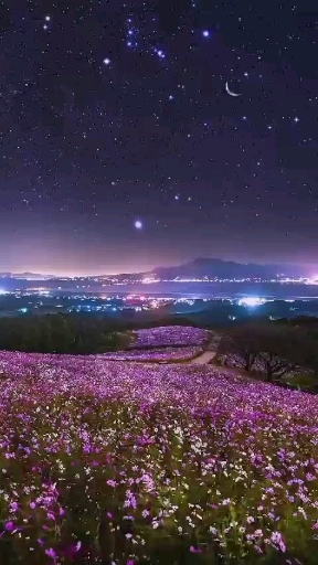 ❤