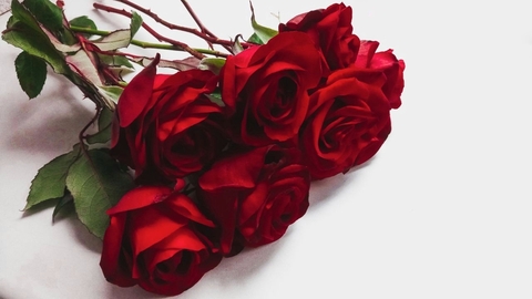 rose. part1