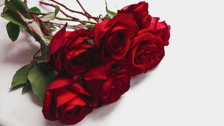 rose. part1
