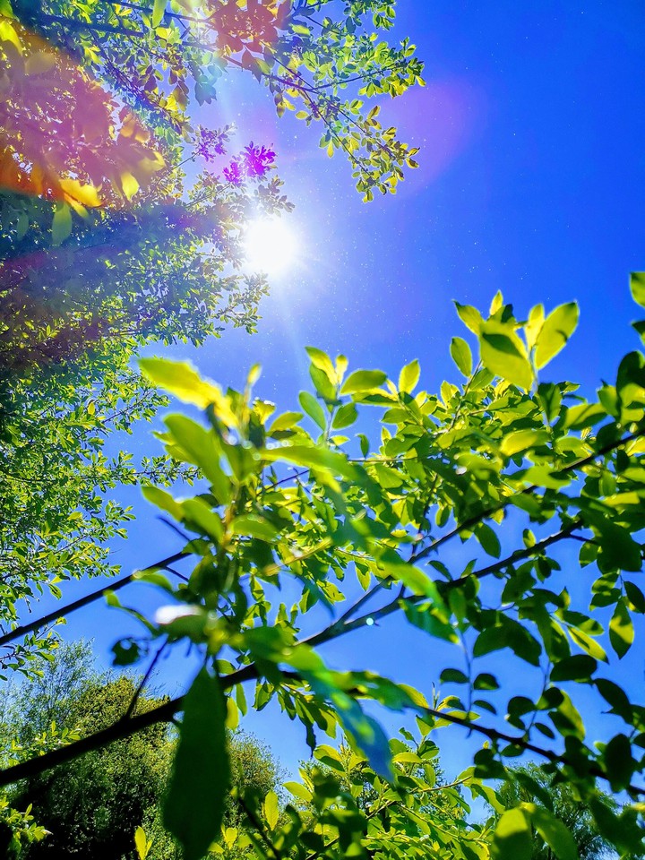 Sun light