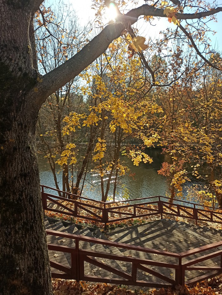 sunny day