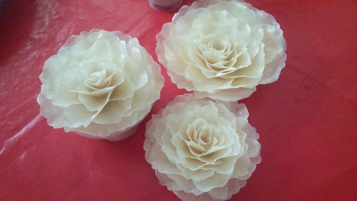 flores