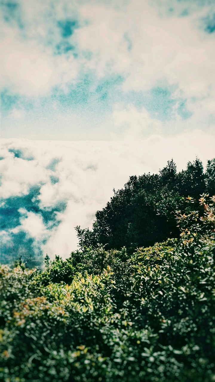 moment of walking and peace