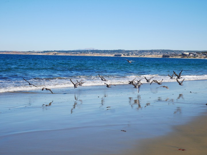 beach