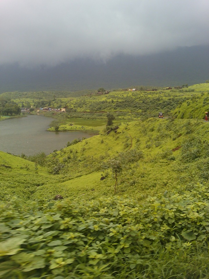 nature