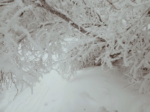 Winter Tale