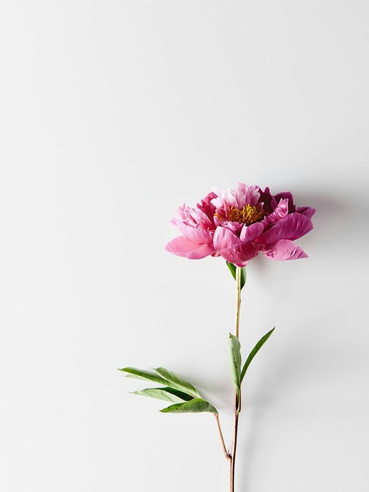 be beautiful as a flower