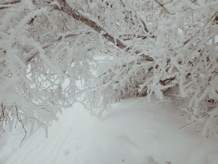 Winter Tale