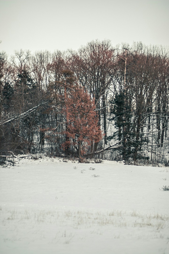 Alone in the park.