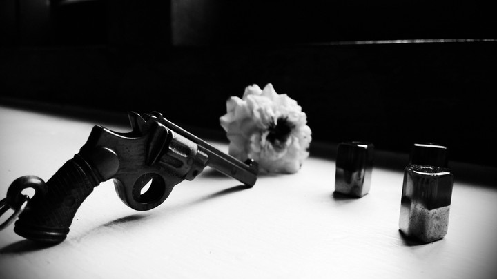 guns and roses