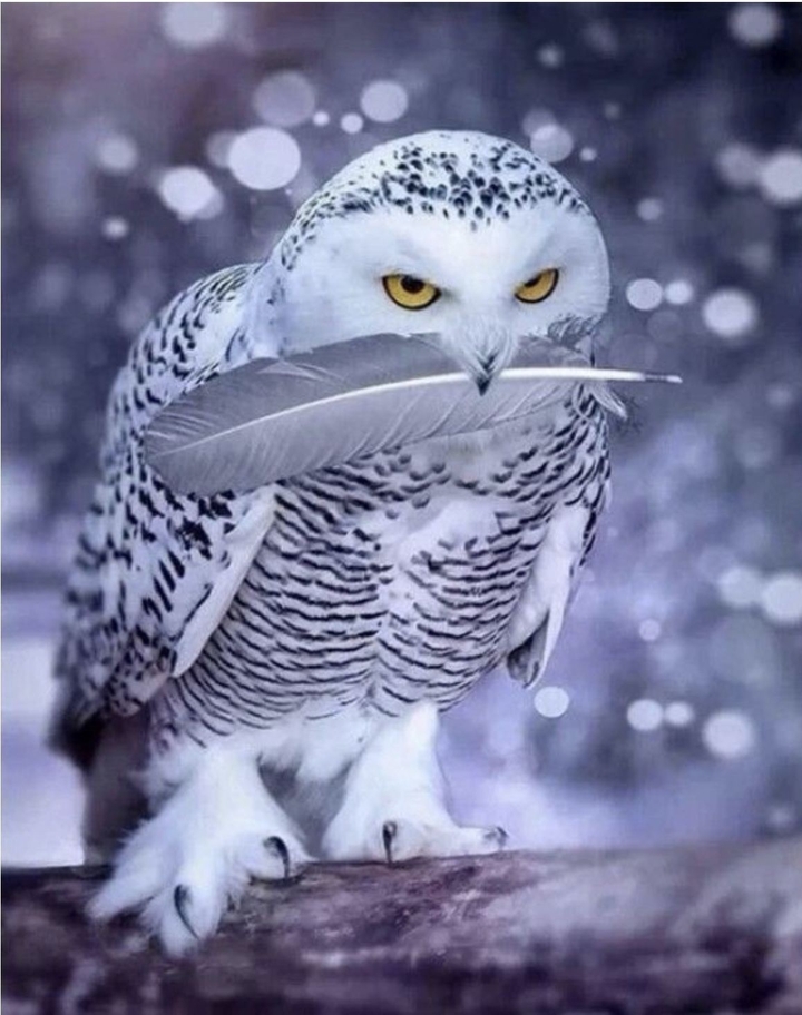 .