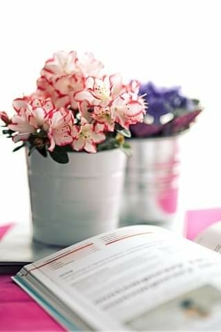 Flores de colores