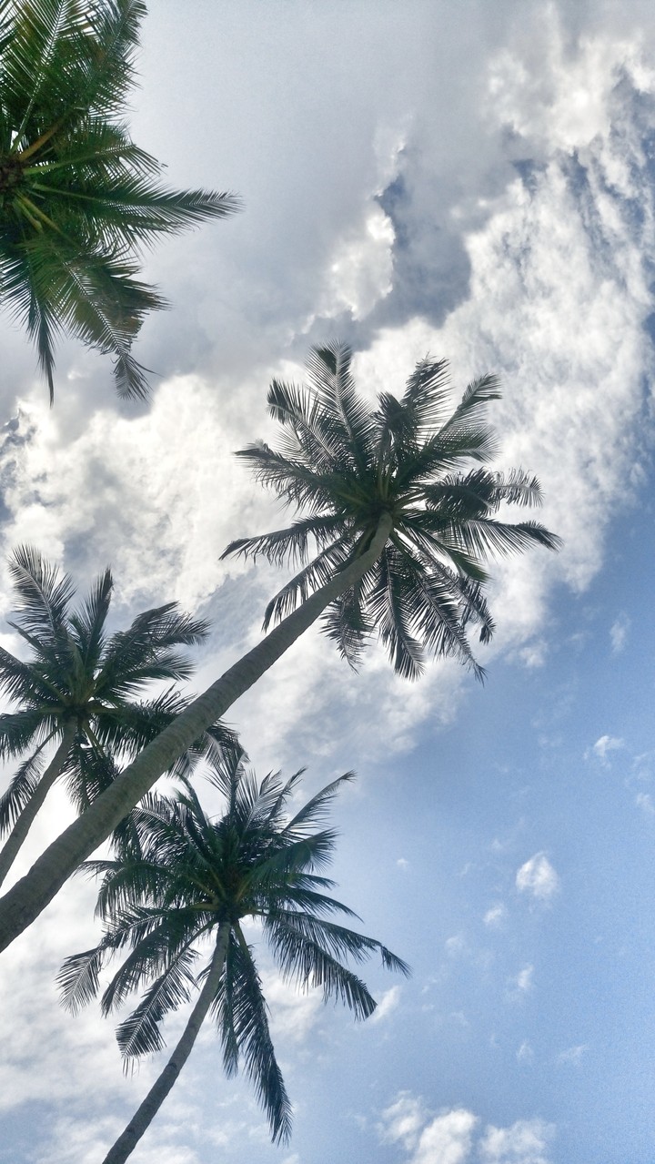Island View