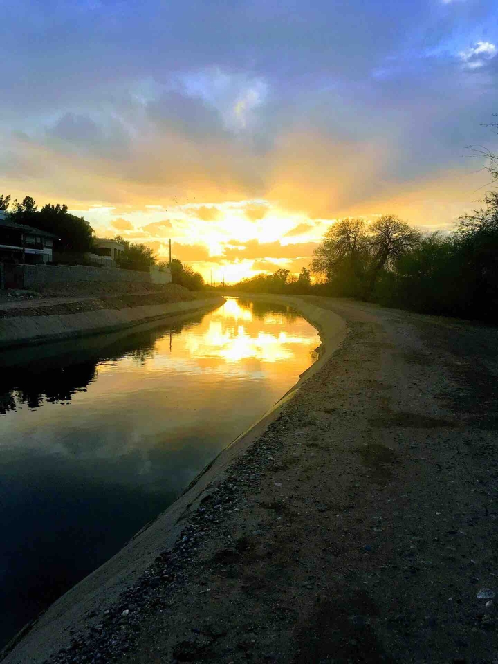 Arizona Canal at sunset