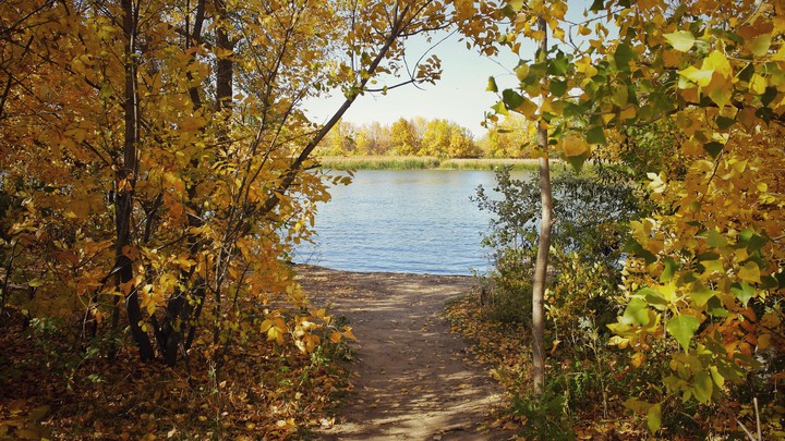 осенняя тропа