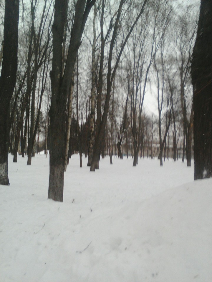 деревьЯ