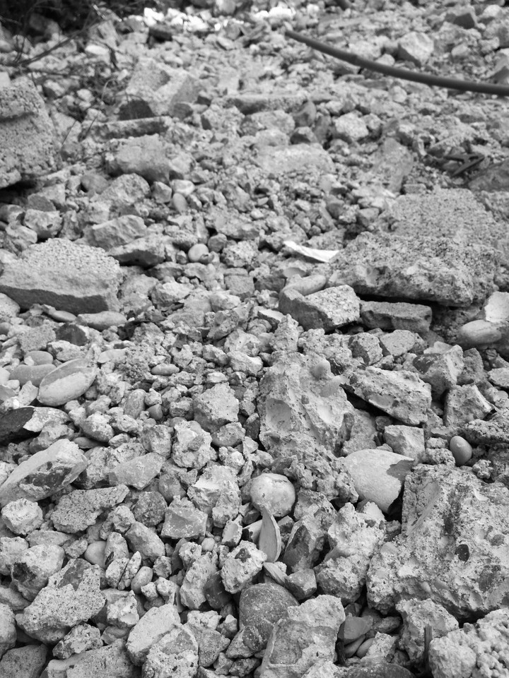 rocks