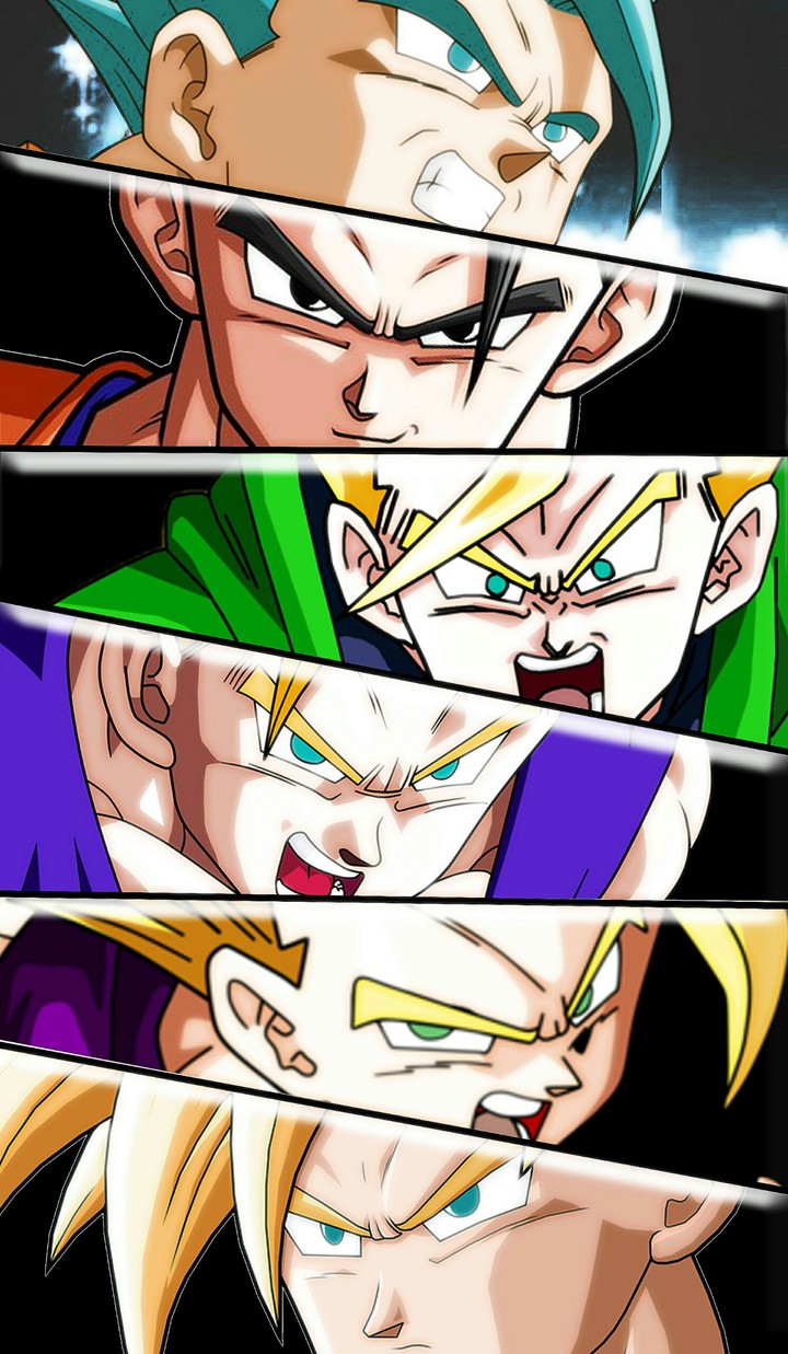 Dragon ball  Gohan