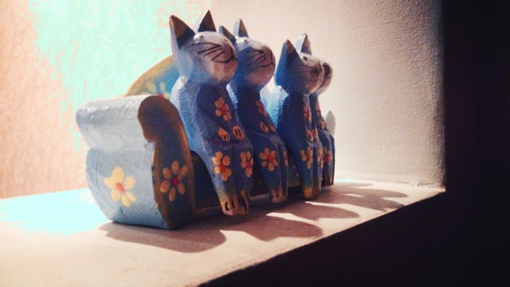 lovly cats