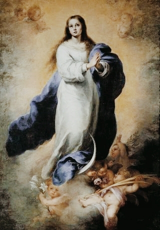 inmaculada concepcion de Maria Santisima